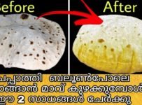 ചപ്പാത്തി soft ആകാൻ ഈ 2 കാര്യങ്ങൾ ചേർത്താൽ മതി