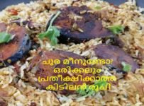 ചൂര മീനുണ്ടോ ചൂര മീൻ…….. മലബാർ ചൂരമീൻ ബിരിയാണി