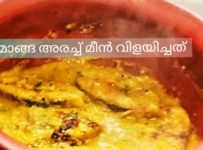 മാങ്ങ അരച്ച് മീൻ വിളയിച്ചത് നാടൻ രീതിയിൽ ഒരു പുതിയ റെസിപ്പി ♥️