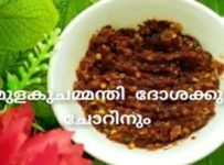 ചോറിനും ദോശക്കും കപ്പക്കും ഇനി ഒരു ചമ്മന്തി മതി