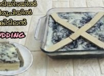 ജലാറ്റിനോ,ചൈനാഗ്രസ്സോ ഇല്ലാതെ ഒരു കിടിലൻ പുഡിങ് ഉണ്ടാക്കി നോക്കൂ
