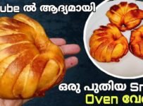 നിങ്ങൾ ഇതുവരെ കഴിച്ചിട്ടില്ലാത്ത ഒരു പുതിയ സ്നാക്ക്