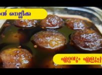 ഈ നെല്ലിക്കായുടെ സീസണിൽ ഏറ്റവും എളുപ്പത്തിൽ എല്ലാവർക്കും ഇഷ്ടം ഉള്ള തേൻ നെല്ലിക്ക എങ്ങനെ തയാറാക്കാം എന്ന് നോക്കാം..