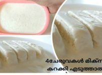 4 ചേരുവകൾ മിക്സിയിൽ ഒന്ന് കറക്കി എടുത്തു ഉണ്ടാക്കാം സൂപ്പർ ക്രീമിഐസ്ക്രീം